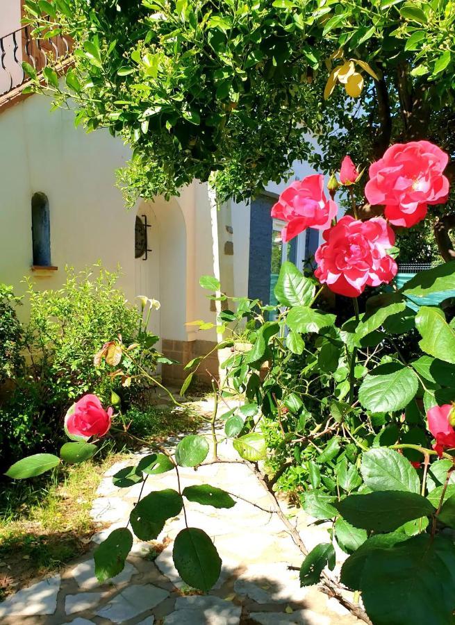 Studio Au Calme Tout Confort Proche Des Plages - Jardin Wifi Parking Fréjus Exteriér fotografie